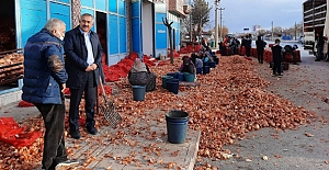 “Türkiye’nin en iyi soğanı Alaca’dan çıkıyor”