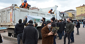 Alaca Belediyesi, 2500 adet fidan dağıttı