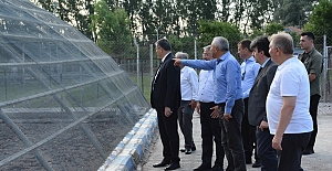 Sahipsiz Hayvanları Koruma Birliği Alaca’da toplandı