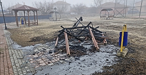 Alaca'da şehir magandaları parktaki kamelyayı yaktı