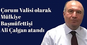 Çorum Valisi Ali Çalgan oldu