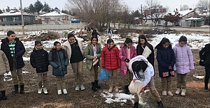 Öğrenciler kar sebebiyle aç kalan hayvanlar için doğaya yiyecek bıraktı