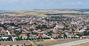Alaca Belediyesi yetiştirilmesi yasak olan kavak ağaçlarını kesti