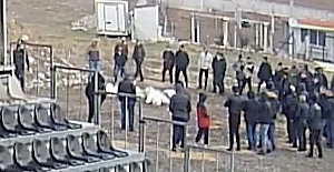 Polisten 'kaz dövüşü' baskını: 70 kişiye ceza yazıldı
