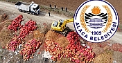 Belediyeden ‘soğan atığı’ uyarısı