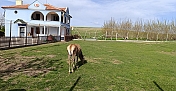 Alaca'nın Gözdesi Veli Çayırı Ziyaretçilerini Bekliyor