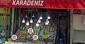 Alaca'da bedava balık dağıtılacak